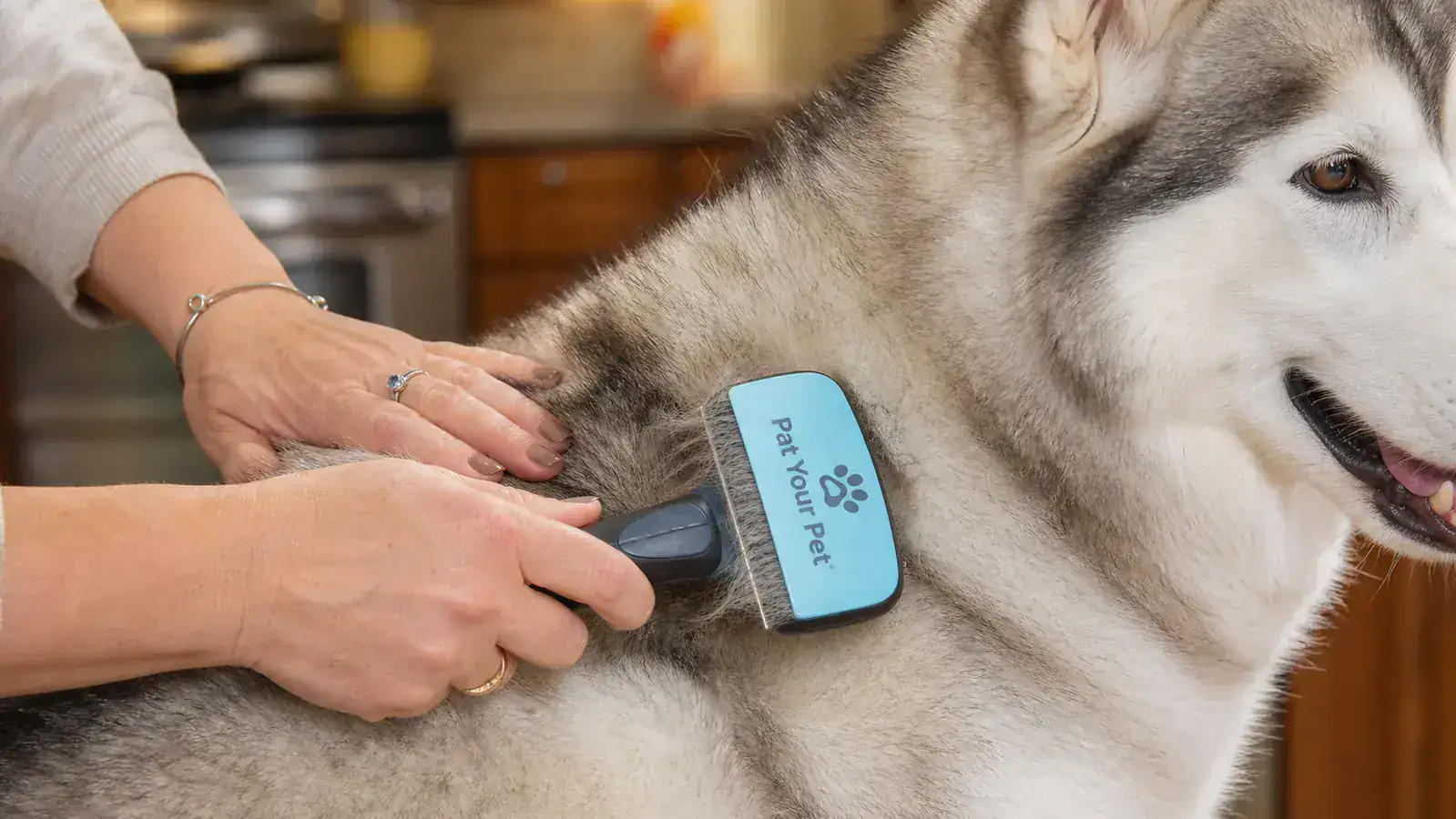 Close-up of the Pat Your Pet deshedding brush removing thick undercoat fur from a husky